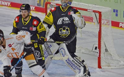Krefeld Pinguine vs. Grizzlys Wolfsburg 17.11.2020