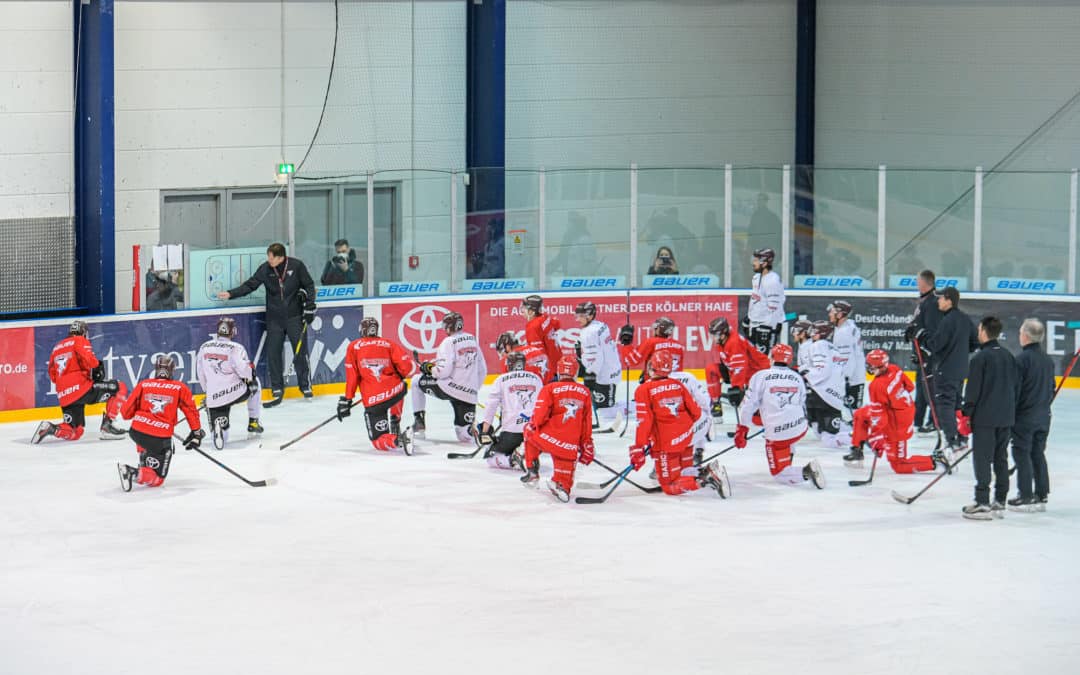 Kölner Haie Trainingsbeginn 01.12.2020