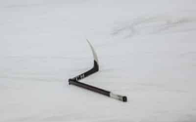 spusu Vienna Capitals vs. Steinbach Black Wings 26.12.2020