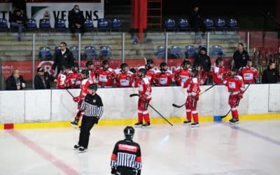 Hannover Scorpions vs. Halle/Saale Bulls vom 30.12.2020