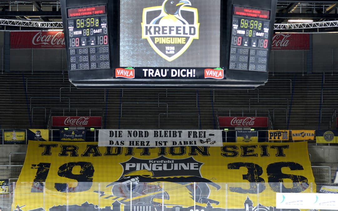 Krefeld Pinguine vs. Eisbären Berlin 17.01.2021