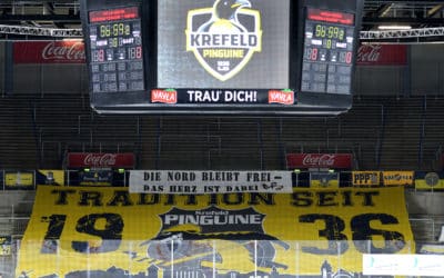Krefeld Pinguine vs. Eisbären Berlin 17.01.2021