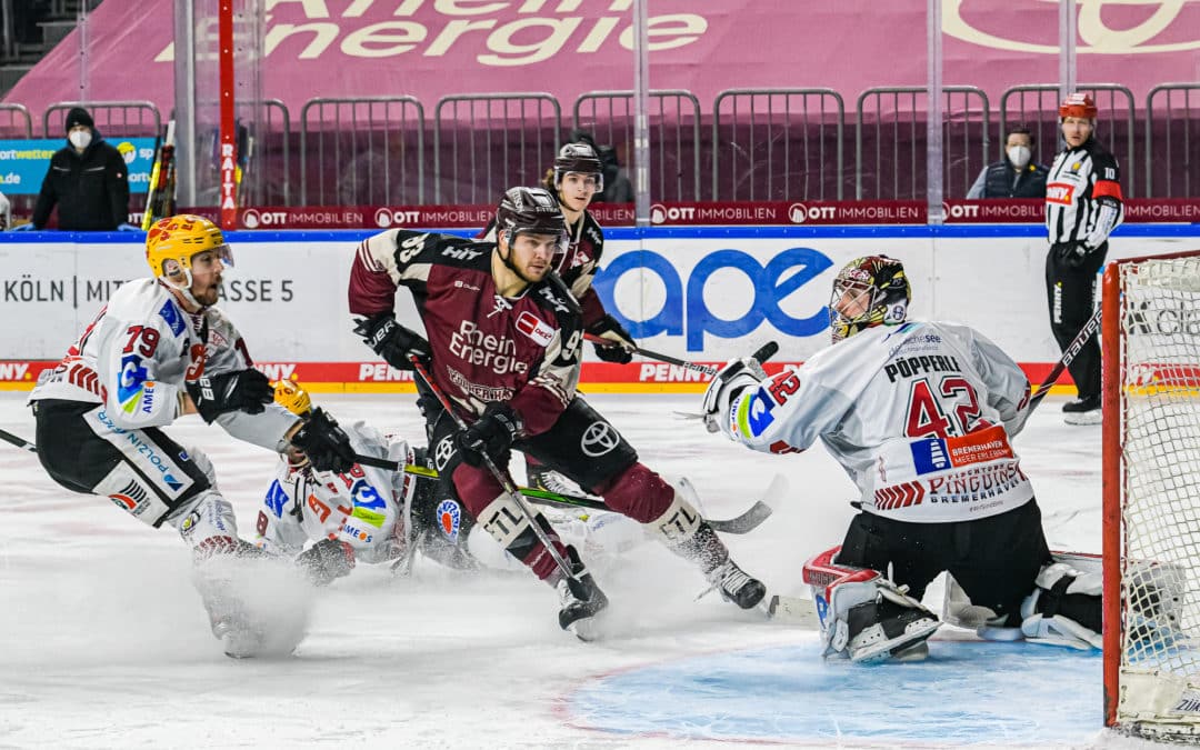 Kölner Haie vs Fischtown Pinguins Bremerhaven 12.02.2021