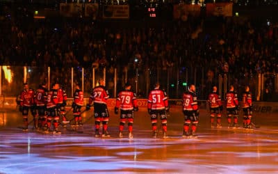 Kölner Haie vs Düsseldorfer EG 19.10.2021