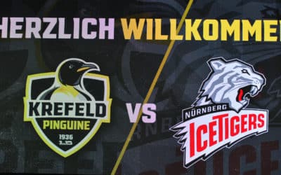 Krefeld Pinguine vs. Nürnberg Ice Tigers 24.11.2021