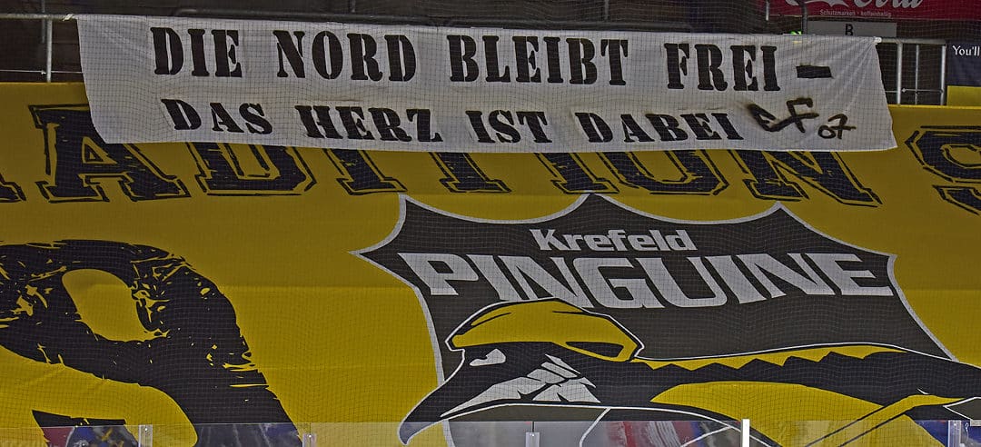 Krefeld Pinguine…das Jahr 2021