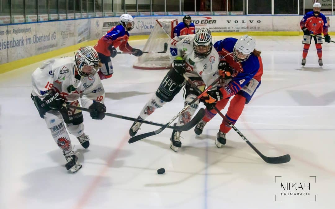 ESC Planegg vs. ECDC Memmingen Indians 15.10.2022