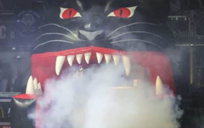 DEL – AEV vs. Straubing 27.11.22 – 7:4