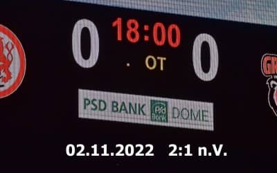Düsseldorfer EG vs. Grizzlys Wolfburg 02.11.2022