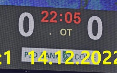 Düsseldorfer EG vs. Bietigheim Steelers 14.12.2022