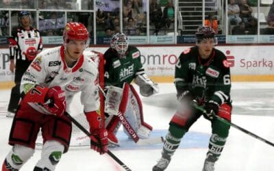 Starbulls Rosenheim vs. Selber Wölfe am 26.08.2023