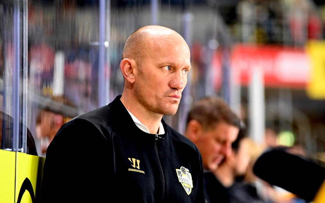 Testspiel: Krefeld Pinguine vs. Kölner Haie 10.09.2023
