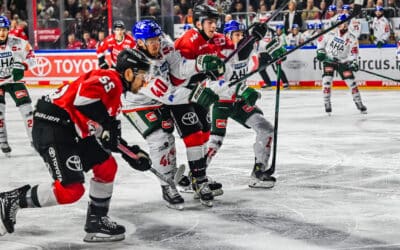 Kölner Haie vs Augsburger Panther   19.11.2023