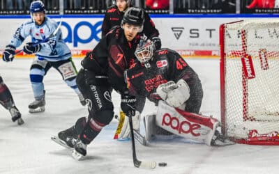 Kölner Haie vs Straubing Tigers 24.11.2023