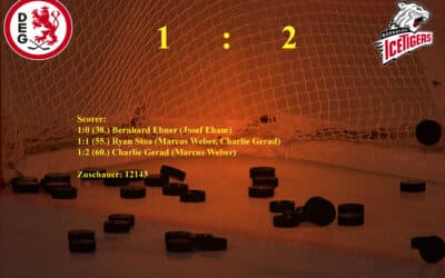 Düsseldorfer EG vs. Nürnberg Ice Tigers 01.12.2023