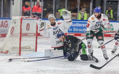 DEL-Straubing Tigers vs. AEV 03.01.24-4:1