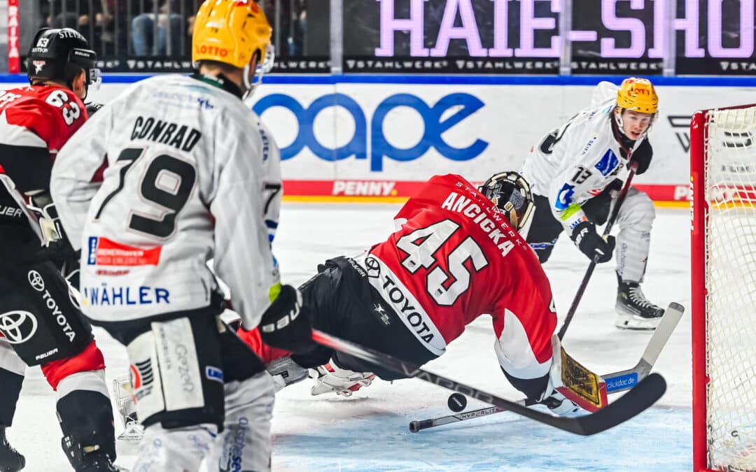 Kölner Haie vs Fischtown Pinguins Bremerhaven 30.01.2024