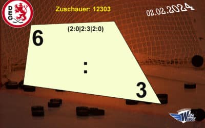 Düsseldorfer EG vs. Schwenninger Wild Wings 02.02.2024