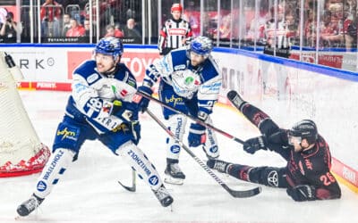 Kölner Haie vs Iserlohn Roosters 13.02.2024