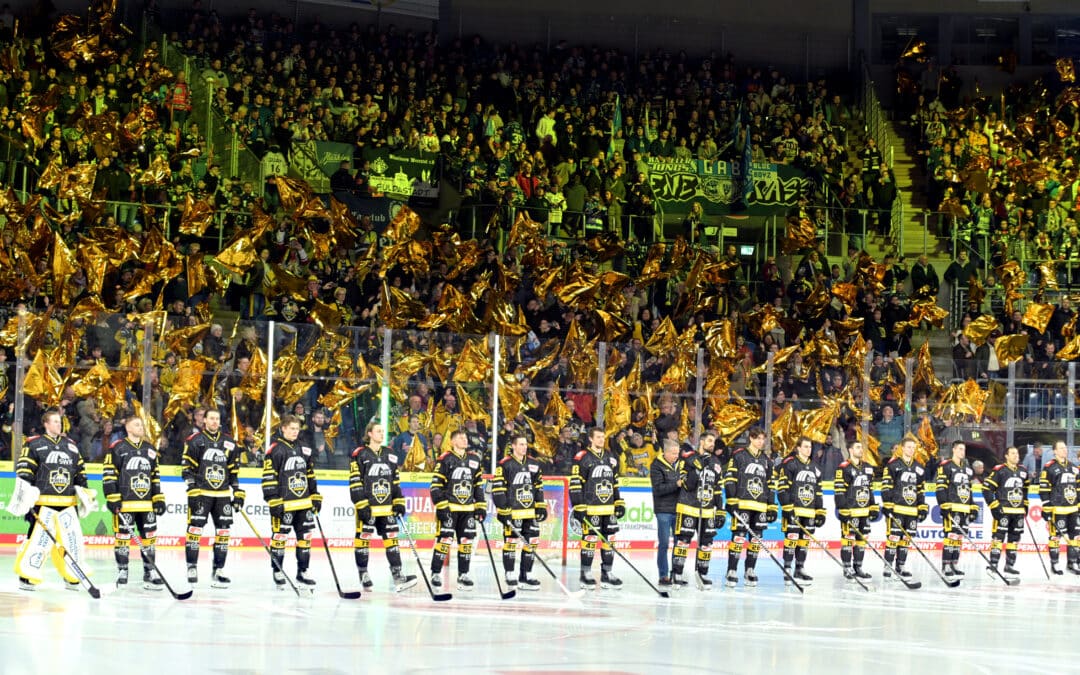 Die Saison 2023/2024 der Krefeld Pinguine. Rückblick in Bildern. Keine Vollständigkeit!