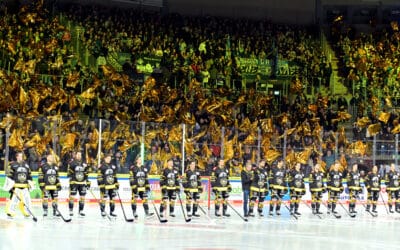 Die Saison 2023/2024 der Krefeld Pinguine. Rückblick in Bildern. Keine Vollständigkeit!