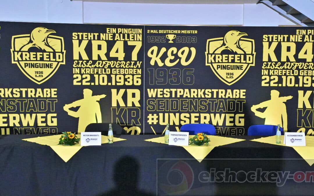 01.08.2024 Krefeld Pinguine Pressekonferenz zur neuen Saison 2024/2025