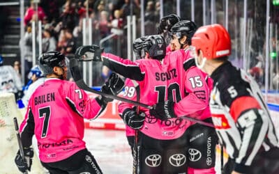 Kölner Haie vs Straubing Tigers 03.10.2024