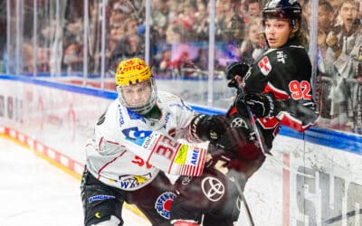 Kölner Haie vs Pinguins Bremerhaven 15.11.2024