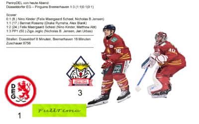 01.11.2024 Düsseldorfer EG vs. Pinguins Bremerhaven