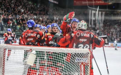 DEL-AEV vs. Straubing 29.11.24-4:1