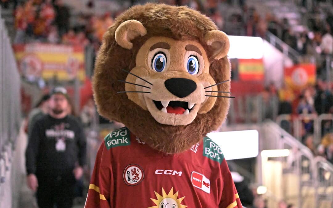 17.11.2024 Düsseldorfer EG vs. Nürnberg Ice Tigers