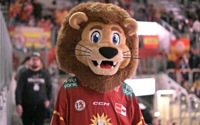 17.11.2024 Düsseldorfer EG vs. Nürnberg Ice Tigers