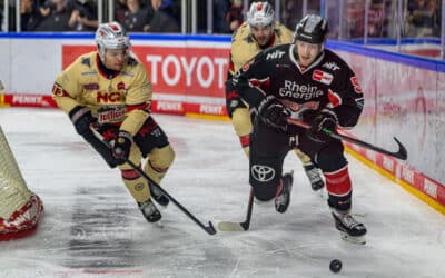 Kölner Haie vs Nürnberg Ice Tigers 26.11.2024