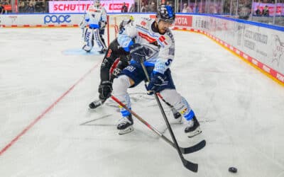 Kölner Haie vs ERC Ingolstadt 22.11.2024