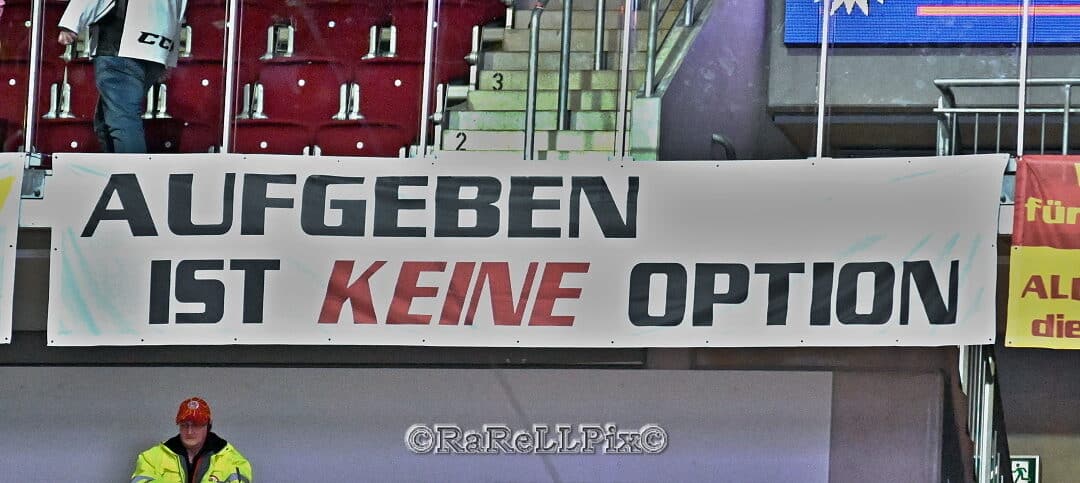 24.01.2025 Düsseldorfer EG vs. Kölner Haie