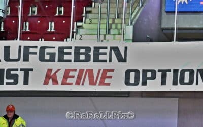 24.01.2025 Düsseldorfer EG vs. Kölner Haie