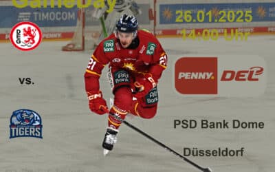 26.01.2025 Düsseldorfer EG vs. Straubing Tigers