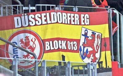 10.01.2025 Düsseldorfer EG vs. Straubing Tigers