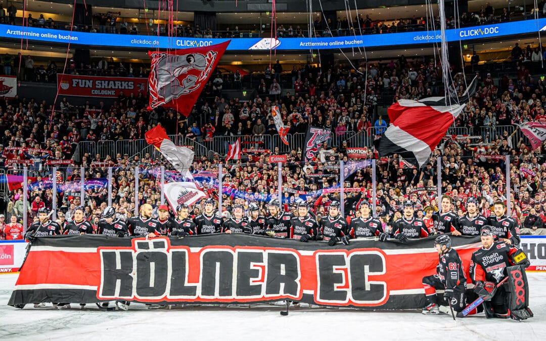 Kölner Haie vs Düsseldorfer EG 16.02.2025