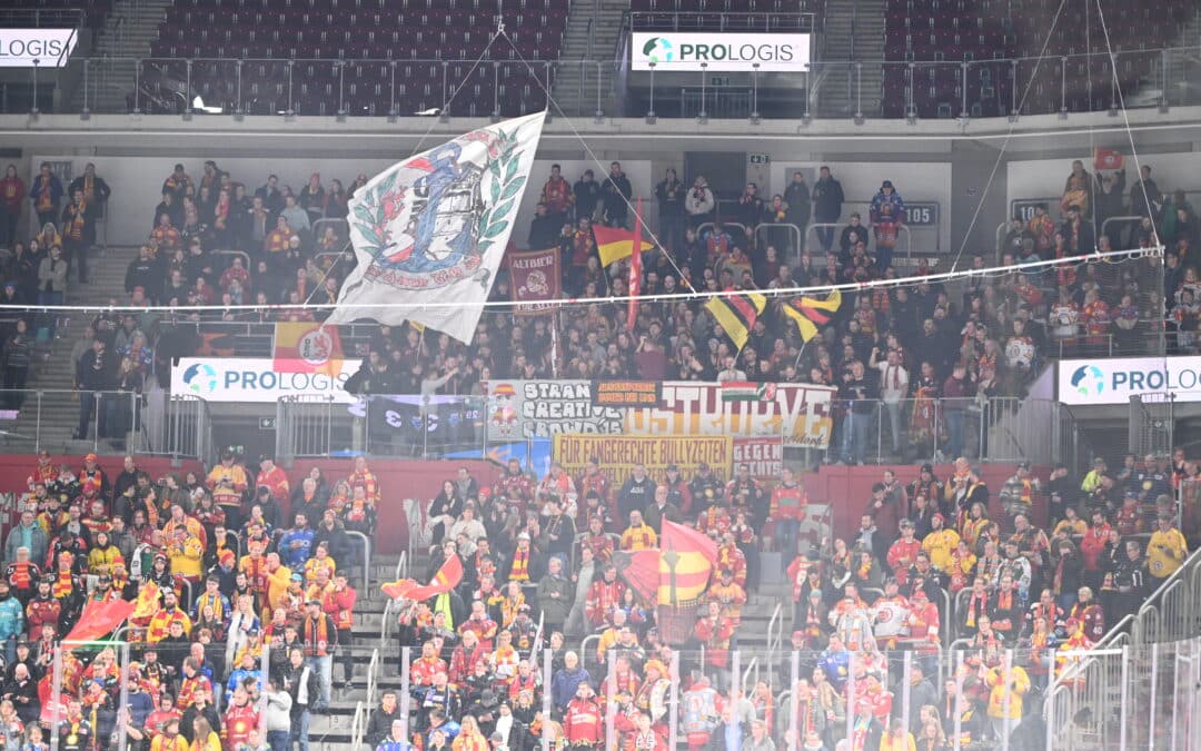 19.02.2025 Düsseldorfer EG vs. ERC Ingolstadt