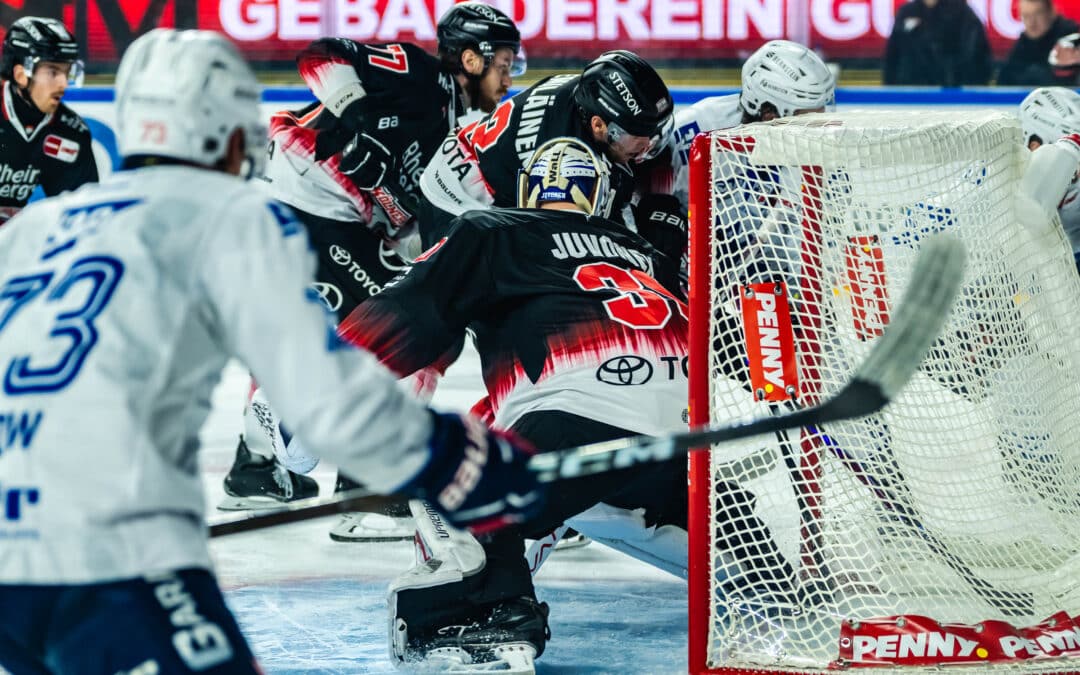 Kölner Haie vs Adler Mannheim 25.11.2025