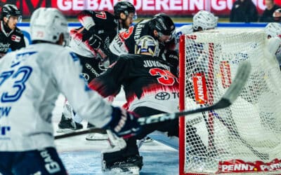 Kölner Haie vs Adler Mannheim 25.11.2025