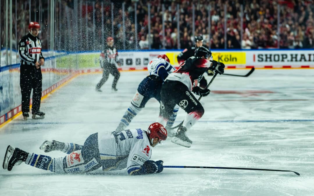 Kölner Haie vs Schwenninger Wild Wings   23.11.2025
