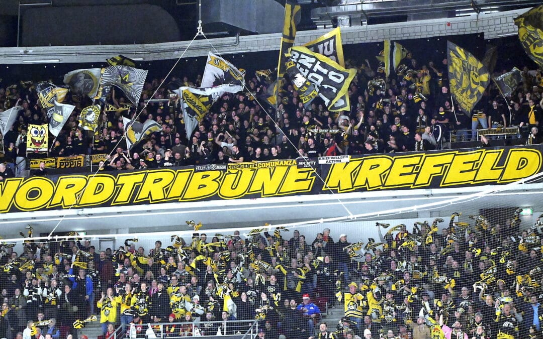 30.11.2025 Düsseldorfer EG vs. Krefeld Pinguine