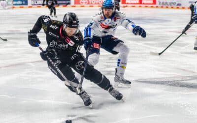 Kölner Haie vs ERC Ingolstadt 27.02.2026